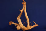 Redwood, Aquarium Wurzel, Größe "L", Premium, RH2702