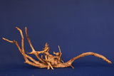 aquarium-wurzel-redwood-moorholz-rh2703
