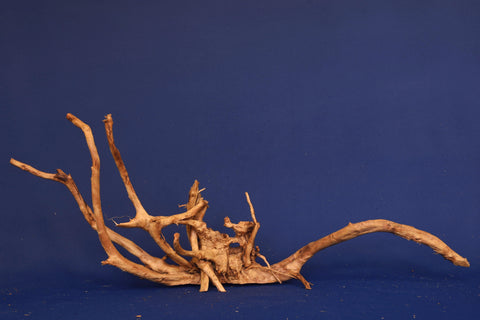 aquarium-wurzel-redwood-moorholz-rh2703