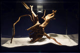 Redwood, Aquarium Wurzel, Größe "L", Premium, RH2704