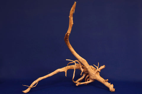 aquarium-wurzel-redwood-moorholz-rh2705