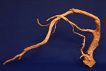 aquarium-wurzel-redwood-moorholz-rh2706