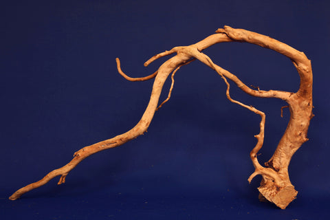 aquarium-wurzel-redwood-moorholz-rh2706