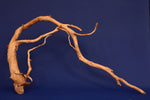 Redwood, Aquarium Wurzel, Größe "L", Premium, RH2706