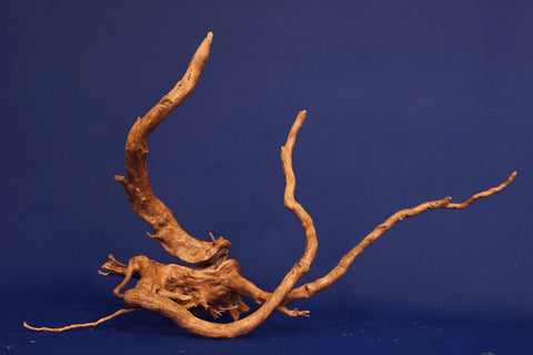 aquarium-wurzel-redwood-moorholz-rh2708