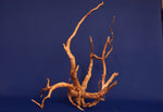 Redwood, Aquarium Wurzel, Größe "L", Premium, RH2709