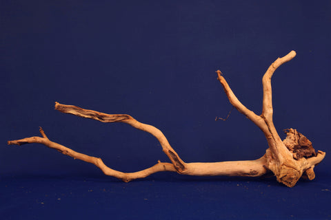 aquarium-wurzel-redwood-moorholz-rh2710
