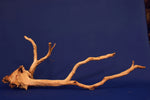 Redwood, Aquarium Wurzel, Größe "L", Premium, RH2710