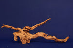 aquarium-wurzel-redwood-moorholz-rh2711