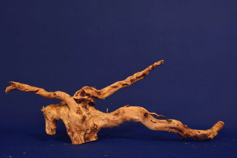 aquarium-wurzel-redwood-moorholz-rh2711