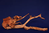 Redwood, Aquarium Wurzel, Größe "L", Premium, RH2712