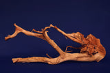 Redwood, Aquarium Wurzel, Größe "L", Premium, RH2712