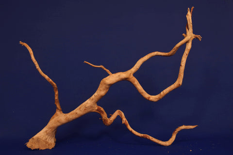 aquarium-wurzel-redwood-moorholz-rh2716