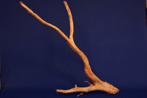 aquarium-wurzel-redwood-moorholz-rh2717