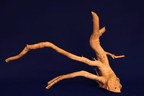 aquarium-wurzel-redwood-moorholz-rh2718