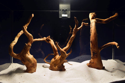 aquarium-wurzel-redwood-moorholz-rh2720