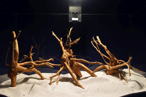 aquarium-wurzel-redwood-moorholz-rh2721
