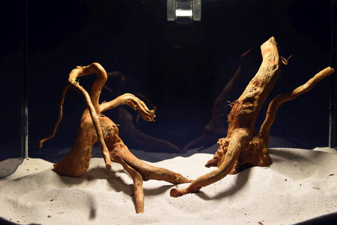 aquarium-wurzel-redwood-moorholz-rh2722