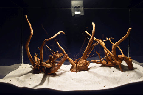 aquarium-wurzel-redwood-moorholz-rh2723