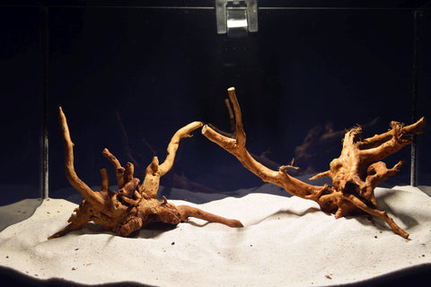 aquarium-wurzel-redwood-moorholz-rh2724