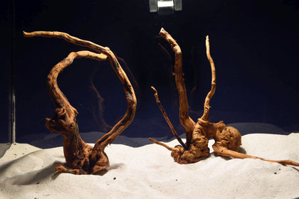 aquarium-wurzel-redwood-moorholz-rh2726