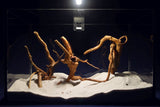 Redwood, Aquarium Wurzeln, 3er Set, RH2734