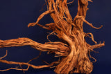 Redwood, Aquarium Wurzel, Größe "L", Exklusiv, RH2752