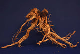 Redwood, Aquarium Wurzel, Größe "L", Exklusiv, RH2752