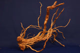 Redwood, Aquarium Wurzel, Größe "L", Exklusiv, RH2753