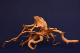 Redwood, Aquarium Wurzel, Größe "L", Exklusiv, RH2756