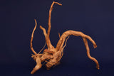 aquarium-wurzel-redwood-moorholz-rh2760