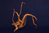 Redwood, Aquarium Wurzel, Größe "M", Premium, RH2760