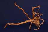 Redwood, Aquarium Wurzel, Größe "L", Premium, RH2761