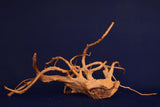 Redwood, Aquarium Wurzel, Größe "L", Premium, RH2762