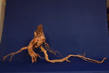Redwood, Aquarium Wurzel, Größe "XL", Exklusiv, RH2765