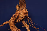 Redwood, Aquarium Wurzel, Größe "XL", Exklusiv, RH2765