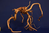 aquarium-wurzel-redwood-moorholz-rh2766