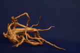 Redwood, Aquarium Wurzel, Größe "L", Exklusiv, RH2767