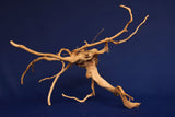 aquarium-wurzel-redwood-moorholz-rh2771