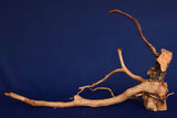 aquarium-wurzel-redwood-moorholz-rh2772