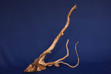 Redwood, Aquarium Wurzel, Größe "L", Premium, RH2772