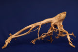 aquarium-wurzel-redwood-moorholz-rh2773