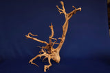 Redwood, Aquarium Wurzel, Größe "L", Premium, RH2773