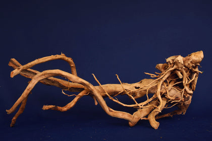 aquarium-wurzel-redwood-moorholz-rh2776