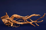 Redwood, Aquarium Wurzel, Größe "L", Exklusiv, RH2776