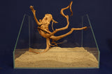 Redwood, Aquarium Wurzel, Größe "L", Exklusiv, RH2777