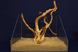 aquarium-wurzel-redwood-moorholz-rh2778