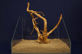 Redwood, Aquarium Wurzel, Größe "L", Exklusiv, RH2778