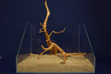 aquarium-wurzel-redwood-moorholz-rh2779a