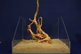 aquarium-wurzel-redwood-moorholz-rh2780a